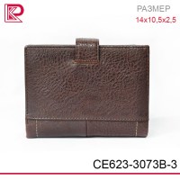 Портмоне + автодок + паспорт CEFIRO матовый, цвет коричневый, 14х10,5х2,5 см