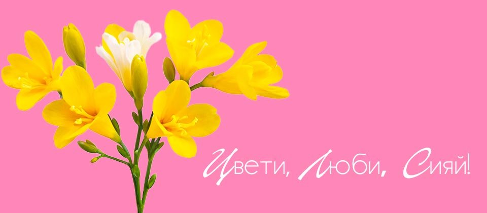 Подарки ко дню 8 Марта в магазинах Планета кошельков