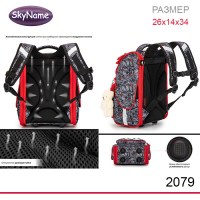 Ранец SkyName 2079 + брелок мишка