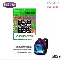 Ранец SkyName 5029 + часы