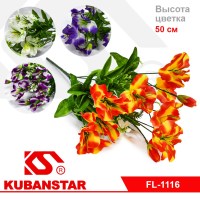 Букет дикой орхидеи 5 цветов