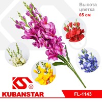 Букет гладиолусов 5 цв.