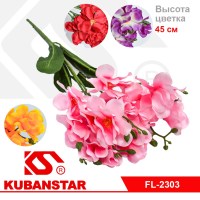 Букет орхидей 5 веточек