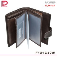 Портмоне+Автодок+Паспорт матовое, большое, вертикальное цвет коричневый