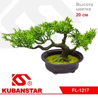 Дерево "Бансай" в горшочке
