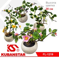 Цветок в керамическом горшочке с камнями