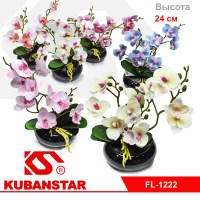 Цветок Орхидея в керамическом горшочке