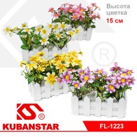 Цветочки ромашки в заборчике