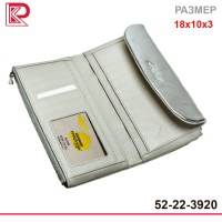 Кошелёк-купюрница ALBATROSS на молнии, на магните, цвет серебряный