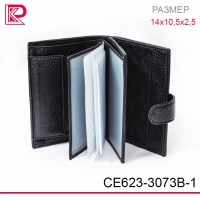 Портмоне + автодок + паспорт CEFIRO матовый, цвет чёрный, 14х10,5х2,5 см